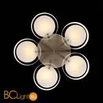 Люстра Evoluce Foresta SL483.352.05 - Фото 6