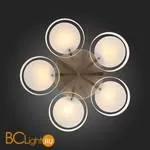 Люстра Evoluce Foresta SL483.352.05 - Фото 10