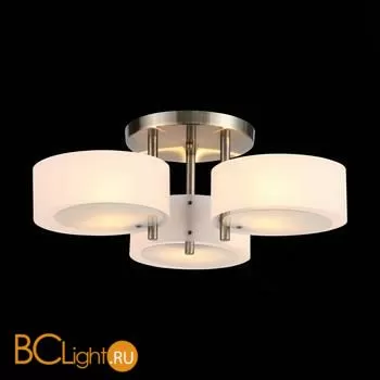 Люстра Evoluce Foresta SL483.352.03