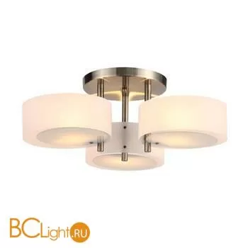 Люстра Evoluce Foresta SL483.352.03 - Фото 0