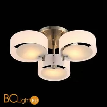 Люстра Evoluce Foresta SL483.352.03 - Фото 4