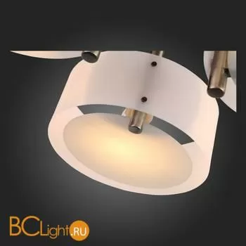 Люстра Evoluce Foresta SL483.352.03 - Фото 9