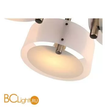 Люстра Evoluce Foresta SL483.352.03 - Фото 2