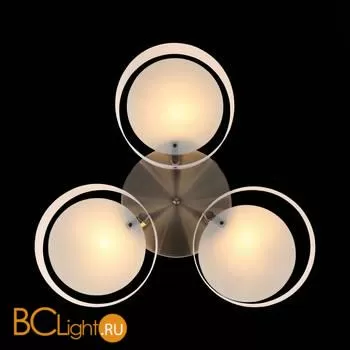 Люстра Evoluce Foresta SL483.352.03 - Фото 6