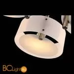 Люстра Evoluce Foresta SL483.352.03 - Фото 5