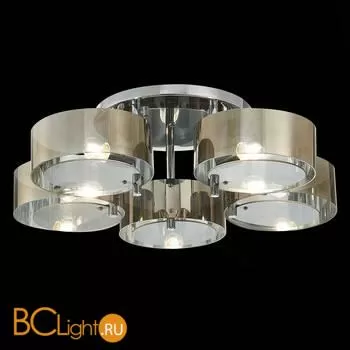 Люстра Evoluce Foresta SL483.702.05 - Фото 2