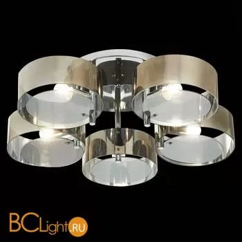 Люстра Evoluce Foresta SL483.702.05 - Фото 4