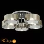 Люстра Evoluce Foresta SL483.702.05 - Фото 2