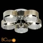 Люстра Evoluce Foresta SL483.702.05 - Фото 4