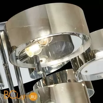 Люстра Evoluce Foresta SL483.702.09 - Фото 7