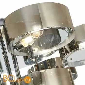 Люстра Evoluce Foresta SL483.702.09 - Фото 2