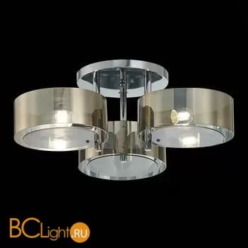 Люстра Evoluce Foresta SL483.702.03 - Фото 2