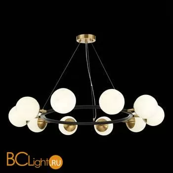 Люстра Evoluce Forli SLE220403-10 - Фото 3