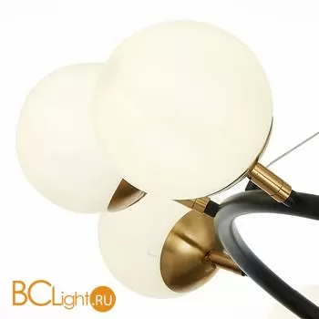 Люстра Evoluce Forli SLE220403-10 - Фото 2