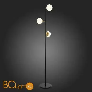 Торшер Evoluce Forli SLE220405-03