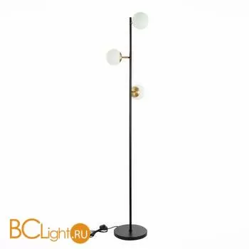 Торшер Evoluce Forli SLE220405-03 - Фото 1