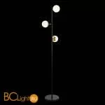 Торшер Evoluce Forli SLE220405-03 - Фото 2