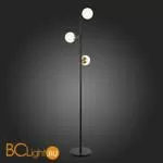 Торшер Evoluce Forli SLE220405-03