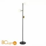 Торшер Evoluce Forli SLE220405-03 - Фото 0