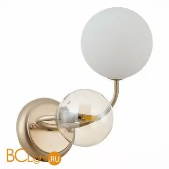 Бра Evoluce Formae SLE220921-02 - Фото 0