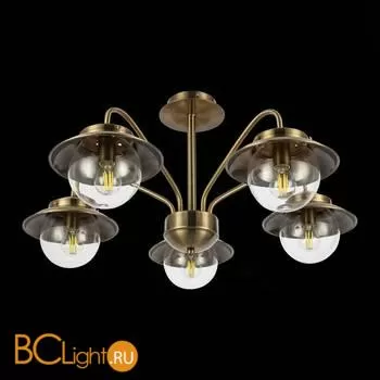 Люстра Evoluce Garonni SLE110102-05 - Фото 3