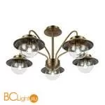 Люстра Evoluce Garonni SLE110102-05