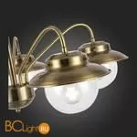 Люстра Evoluce Garonni SLE110102-05 - Фото 7