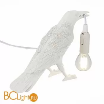 Настольный светильник Evoluce Gavi SLE115304-01