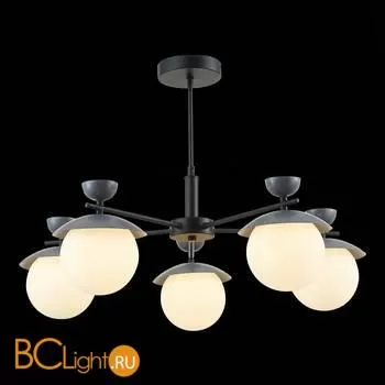 Люстра Evoluce Genova SLE220202-05 - Фото 2