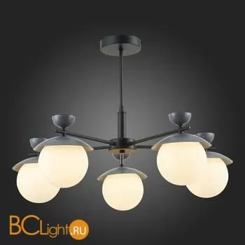 Люстра Evoluce Genova SLE220202-05 - Фото 5