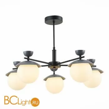 Люстра Evoluce Genova SLE220202-05