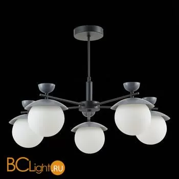 Люстра Evoluce Genova SLE220202-05 - Фото 3