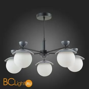 Люстра Evoluce Genova SLE220202-05 - Фото 6