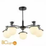 Люстра Evoluce Genova SLE220202-05