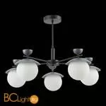 Люстра Evoluce Genova SLE220202-05 - Фото 3