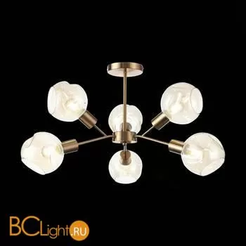 Люстра Evoluce Gentore SLE155302-06 - Фото 6