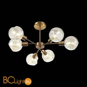 Люстра Evoluce Gentore SLE155302-06 - Фото 11