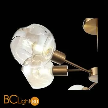 Люстра Evoluce Gentore SLE155302-06 - Фото 12