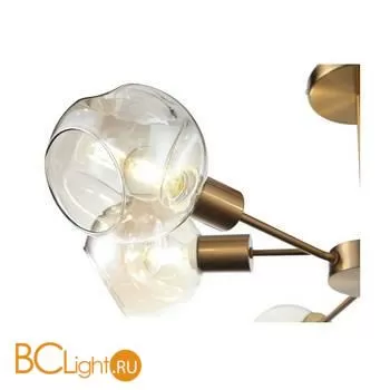 Люстра Evoluce Gentore SLE155302-06 - Фото 5