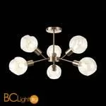 Люстра Evoluce Gentore SLE155302-06 - Фото 6