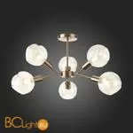 Люстра Evoluce Gentore SLE155302-06 - Фото 13