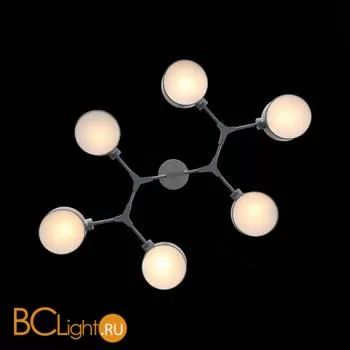Люстра Evoluce Gimento SLE183702-06 - Фото 4