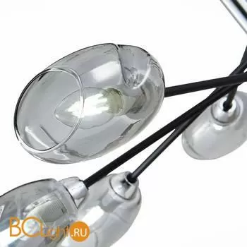 Люстра Evoluce Gloa SLE155512-08 - Фото 2