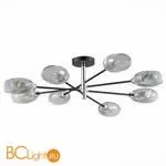 Люстра Evoluce Gloa SLE155512-08 - Фото 0