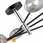 Люстра Evoluce Gloa SLE155512-08 - Фото 1