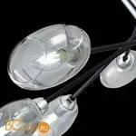 Люстра Evoluce Gloa SLE155512-08 - Фото 6