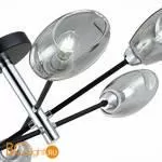 Люстра Evoluce Gloa SLE155512-06 - Фото 3