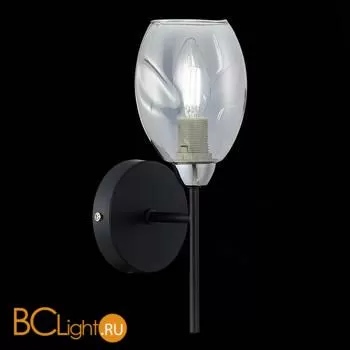 Бра Evoluce Gloa SLE155511-01 - Фото 1