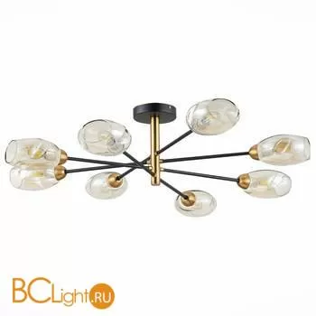 Люстра Evoluce Gloa SLE155502-08 - Фото 0