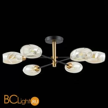 Люстра Evoluce Gloa SLE155502-06 - Фото 4